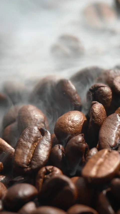 Vertical roasted coffee beans or seeds background with white smoke texture Stock Footage 309845752