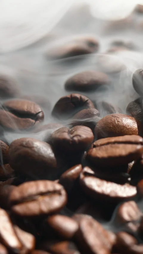Vertical roasted coffee beans or seeds background with white smoke texture Stock Footage 310664403