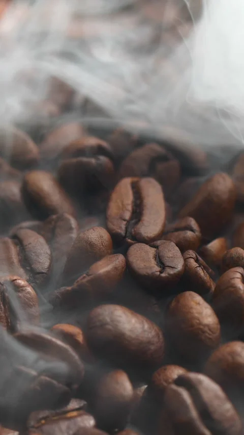 Vertical roasted coffee beans or seeds background with white smoke texture Stock Footage 310715244