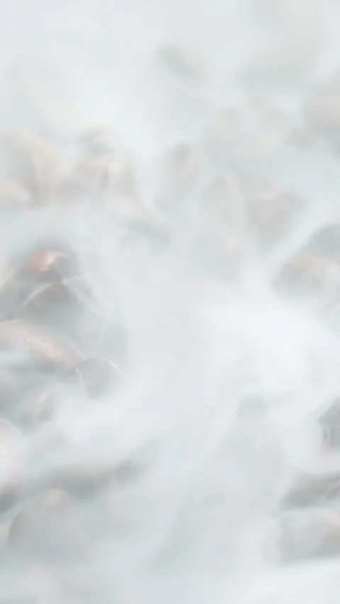 Vertical roasted coffee beans or seeds background with white smoke texture Stock Footage 311914737