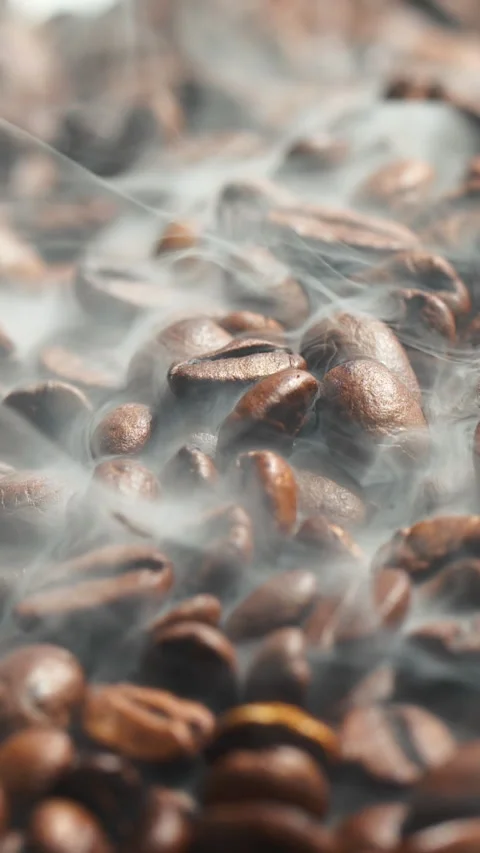 Vertical roasted coffee beans or seeds background with white smoke texture Stock Footage 312372699