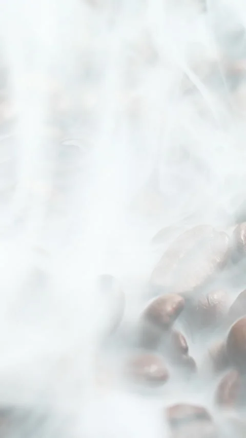 Vertical roasted coffee beans or seeds background with white smoke texture Stock Footage 312794773