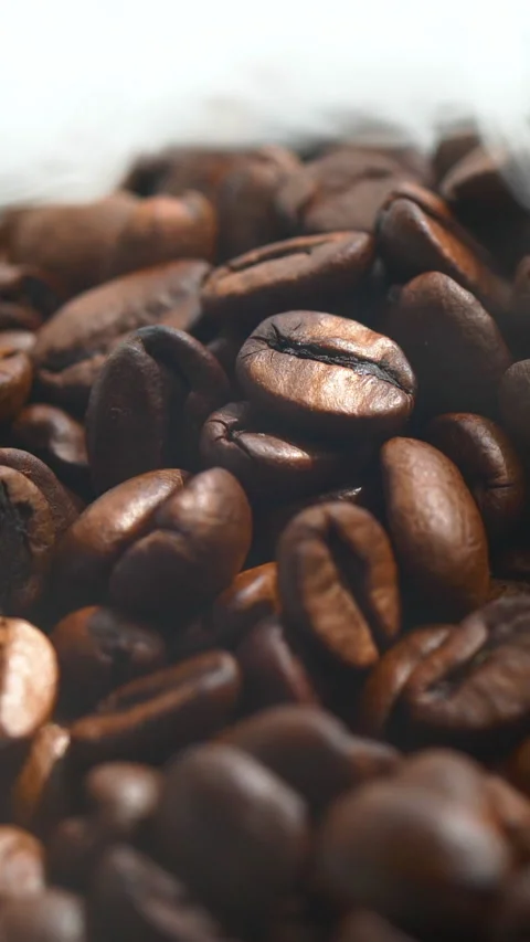 Vertical roasted coffee beans or seeds background with white smoke texture Stock Footage 313646966