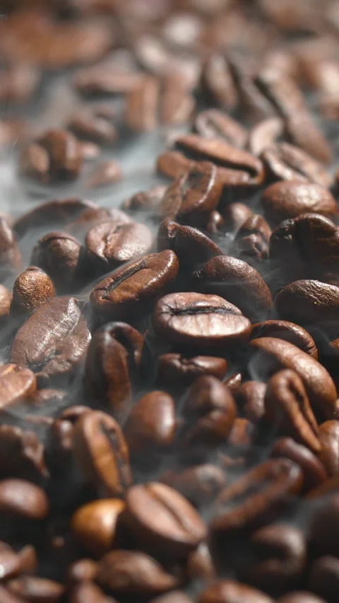 Vertical roasted coffee beans or seeds background with white smoke texture Stock Footage 319235264