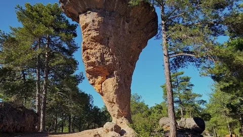 Vertical rock formation in the shape of a tree next to a forest. Enchanted Video stock 284926297