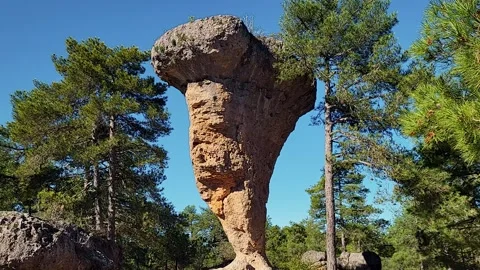 Vertical rock formation in the shape of a tree next to a forest. Stone Video stock 284927588