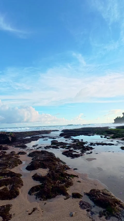Vertical rocky beach pools under bright blue sky Video stock 335442609