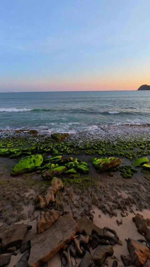 Vertical Rocky beach in summer Stock Footage 342691212