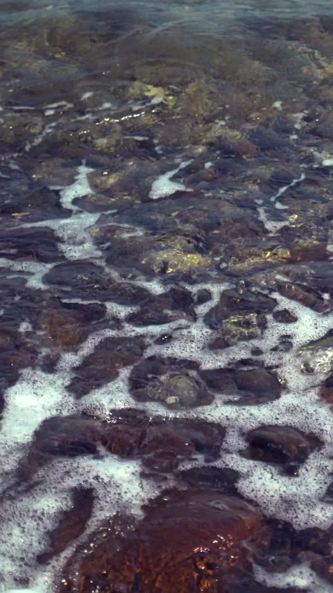 Vertical Rocky Seashore 動画素材 312989785