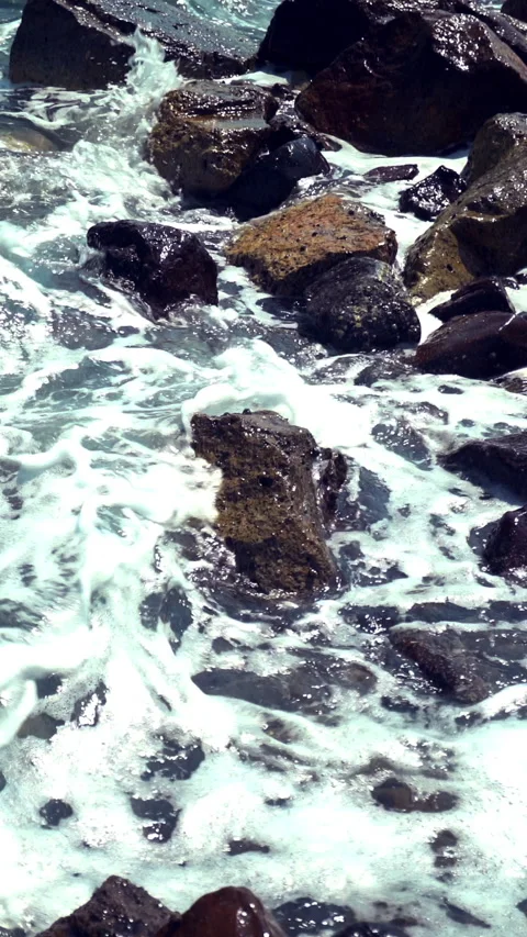 Vertical Rocky Seashore 動画素材 312990119