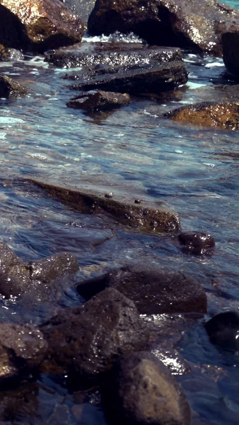 Vertical Rocky Seashore 動画素材 312990535