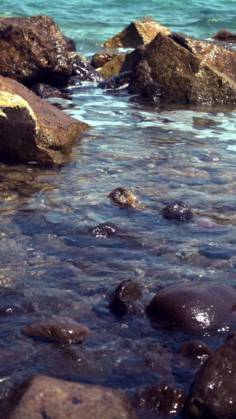Vertical Rocky Seashore Vidéo 312990919