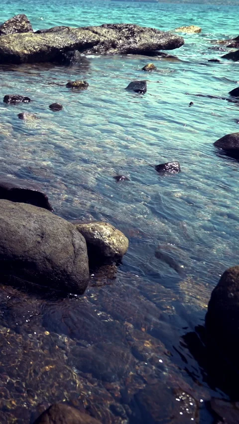 Vertical Rocky Seashore 動画素材 312990927