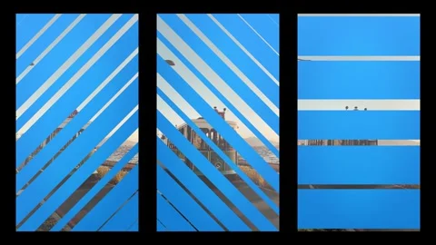 Vertical Rotate Wipe Transitions  After Effects	Stock