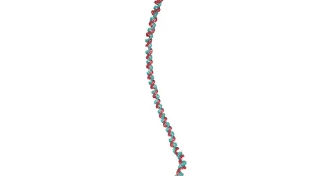 Vertical Rotation of DNA Helix 스톡 동영상 306536520