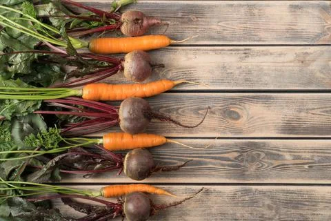 Vertical row of sequentially located fresh beets and carrots with long green Stock Photos