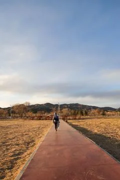 Vertical Rural Path Through Dry Autumn Field Under Blue Sky Stock Photos