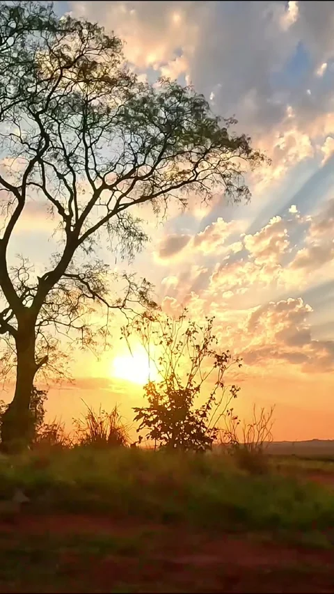 Vertical Rural Sunset with Dramatic Sky and Farmland POV Stock-Footage 333430648