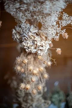 Vertical Rustic Dried Flower and Seed Pod Arrangement Stock Photos