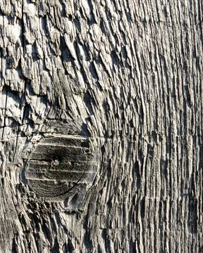 Vertical rustic wood texture with natural knot and aged grain. Weathered wood Stock-Fotos