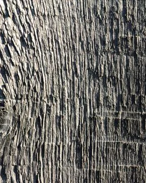 Vertical rustic wood texture with natural knot and aged grain Stock Photos
