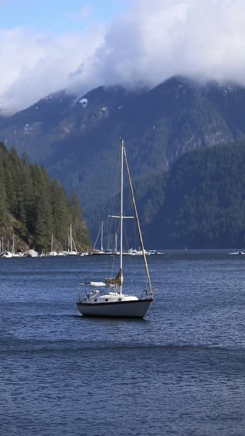 Vertical Sailboat Stock Footage 172116697