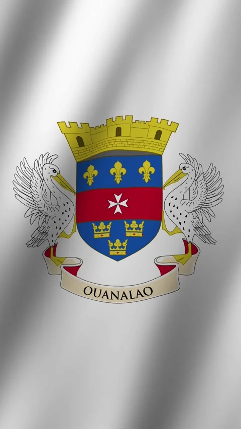 Vertical Saint Barthelemy Flag Animated 4k video Stock Footage 296598144