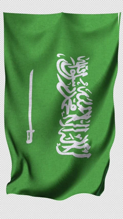 Vertical  Saudi Arabia Flag Stock Footage 340542748