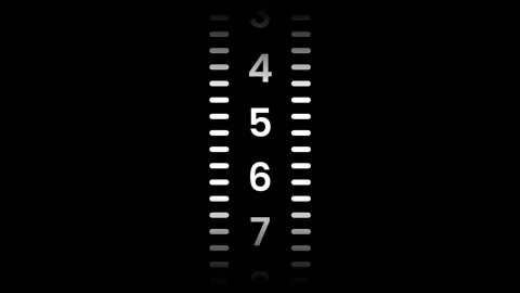 Vertical Scale Stock Footage 334342665