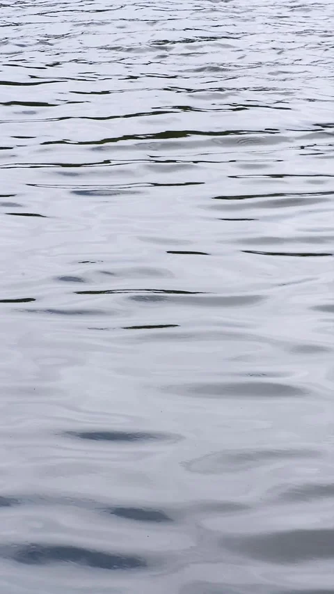 Vertical scenic view of calm water surface with small ripple waves outdoors Stock Footage 344047347