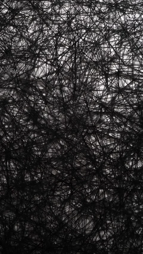 Vertical screen. Abstract black web: A dense network of tangled black threads fo Stock Footage 304459176