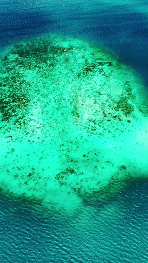 Vertical screen aerial view of vibrant coral reef in turquoise waters near Vidéo 319672077