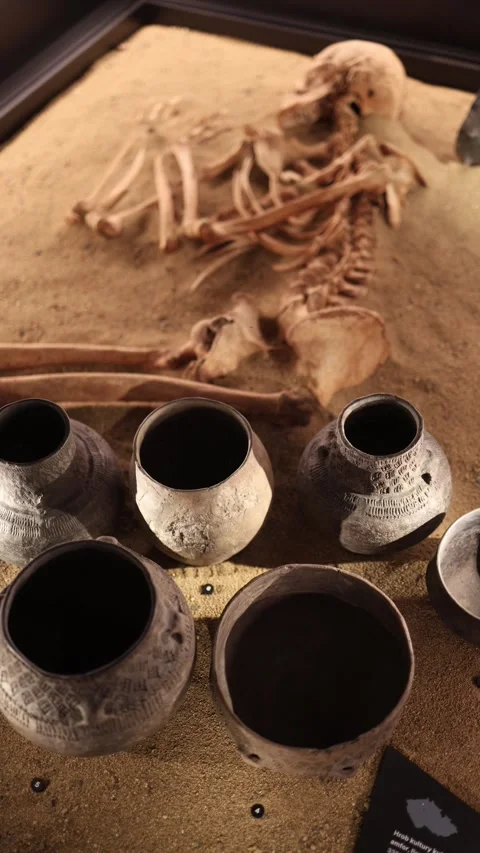 Vertical screen ancient human skeleton surrounded by clay pottery Stock Footage 320451145