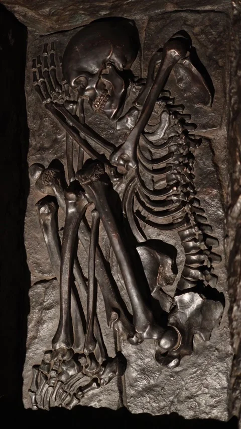 Vertical screen ancient human skeleton in fetal burial within  Stock Footage 320451159