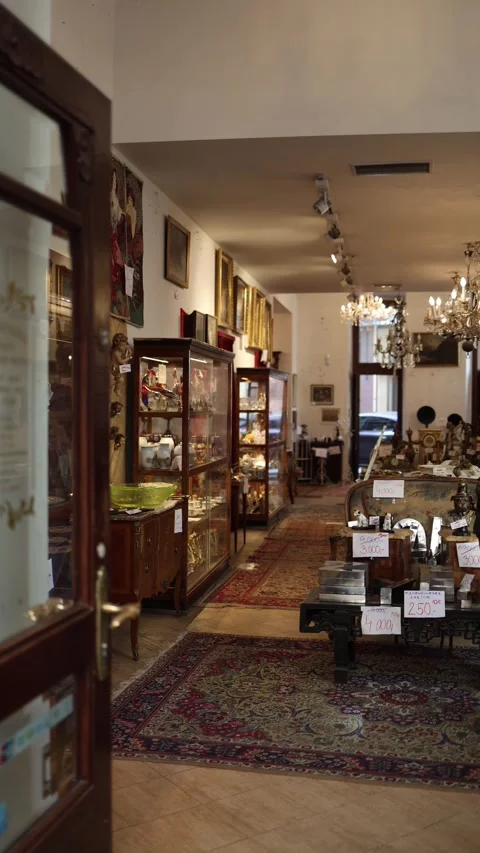 Vertical screen antique shop interior with vintage chandeliers Persian rugs glas Stock Footage 306676787