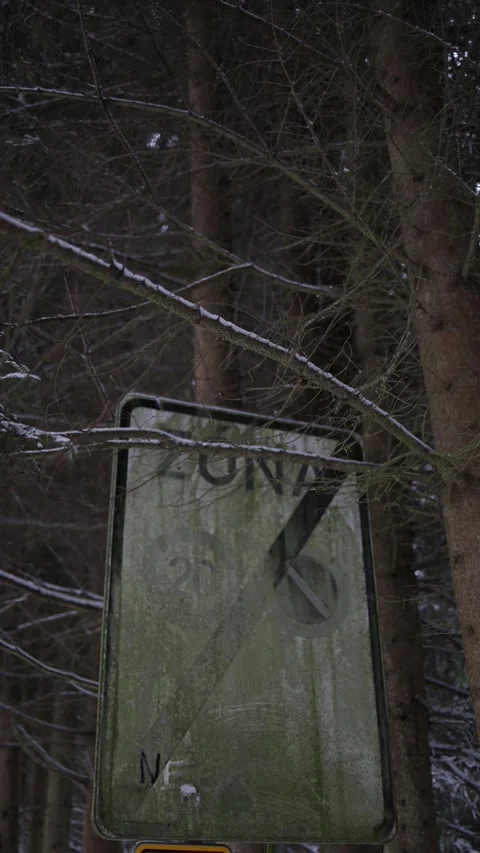 Vertical screen apocalypse stylistic sign in the forest Stock Footage 299302298