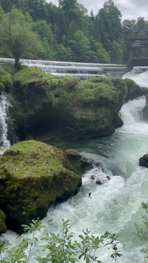 Vertical screen artificial waterfall in the wild Stock Footage 296532715