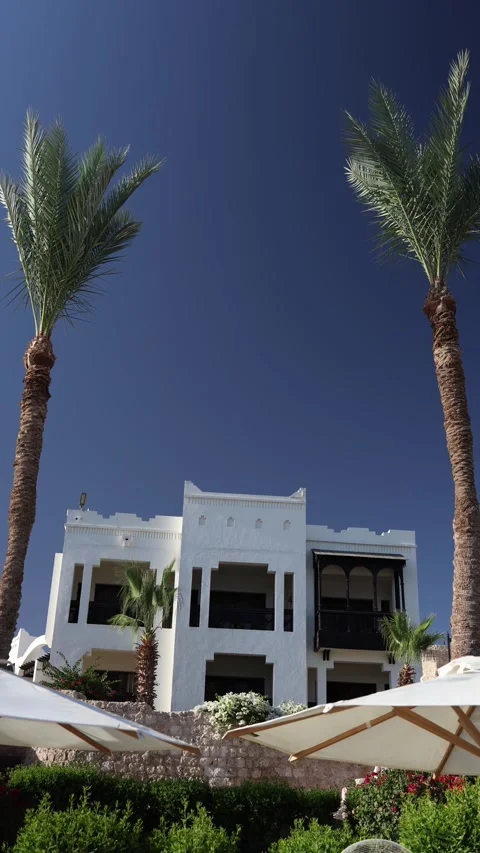 Vertical screen bright white resort building framed by tall palm trees and blue  Stock Footage 310020890