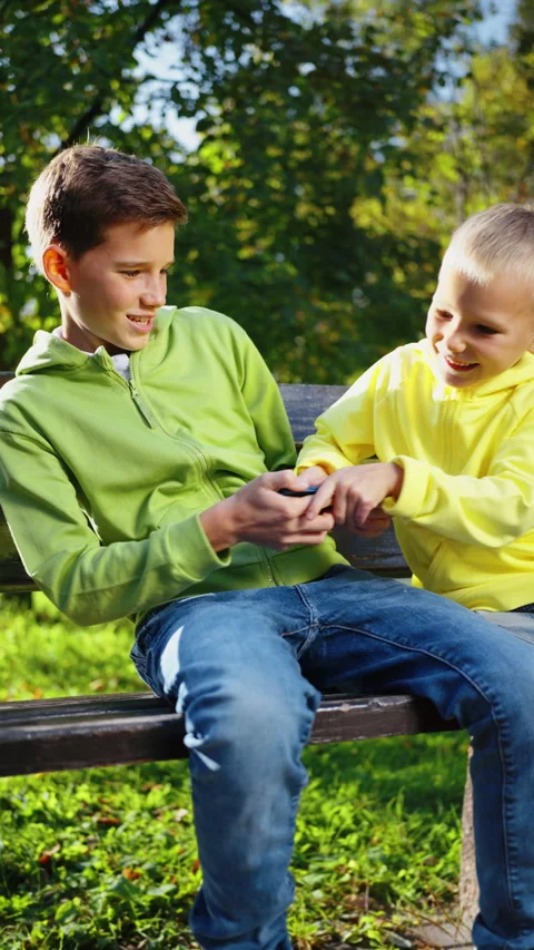 Vertical Screen: Brothers Fighting Over Smartphone on Park Bench Stock Footage 277986196