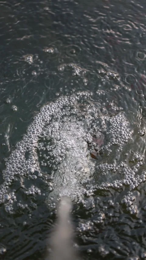 Vertical screen bubbling water surface aeration stream fresh oxygen flow tiny bu Video stock 306007560