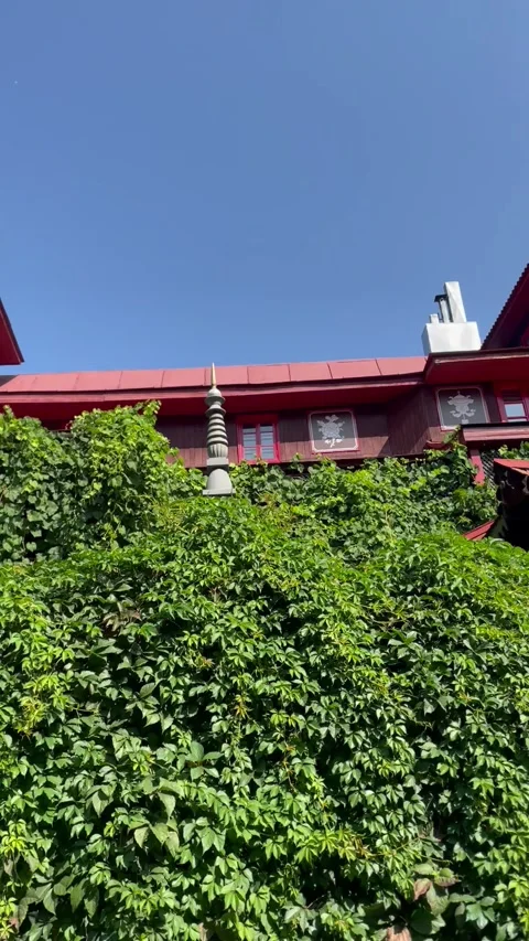 Vertical screen building shrouded in greenery on a bright day big house Stock Footage 296532666