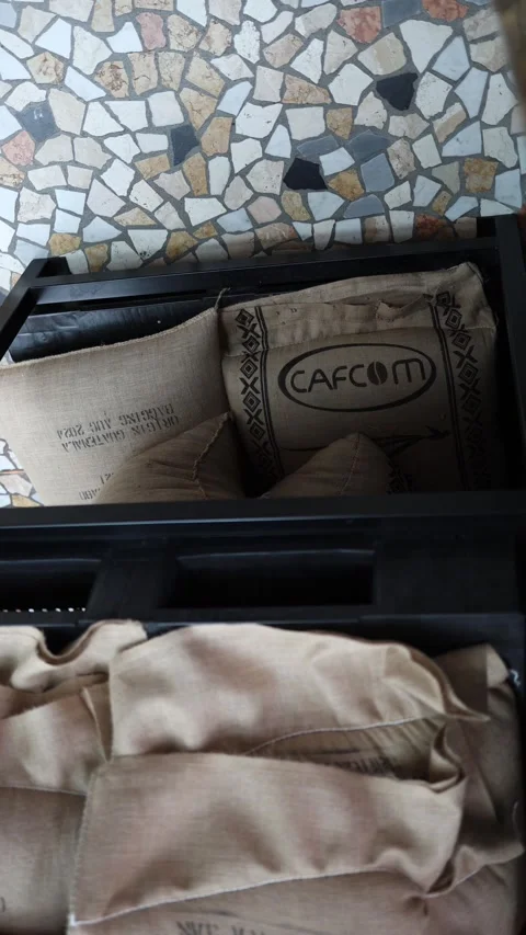 Vertical screen burlap sacks of raw coffee beans stacked in black metal bin on m Stock Footage 310486181