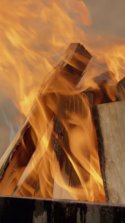 Vertical Screen Burning wood fire for barbecue in metal container Stock Footage 303569271