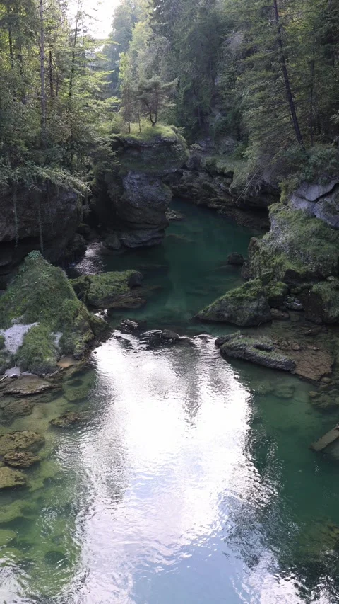 Vertical screen calm emerald river flows between mossy cliffs surrounded by dens Stock Footage 318778533