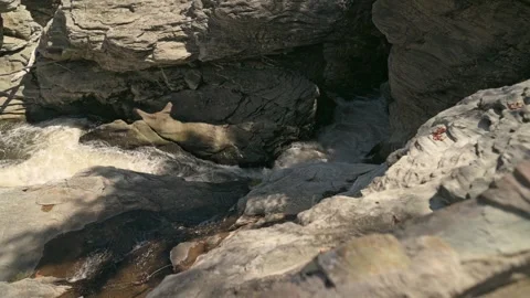 Vertical Screen Calm Plunge Pool Linville Falls Closeup, Still Water Collecting Vidéo 325825328