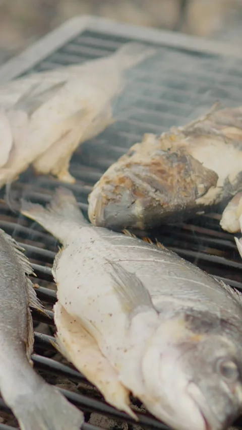 Vertical Screen Chef grilling fresh sea bream on barbecue, carefully turning Video stock 303570076