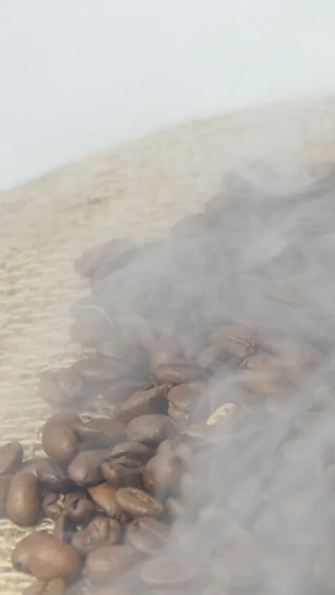 Vertical Screen: Close-up of roasted coffee beans. Aromatic coffee beans are Stock Footage 231608728