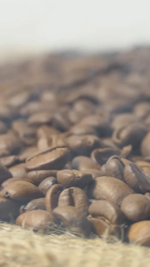 Vertical Screen: Close-up of roasted coffee beans. Aromatic coffee beans are Stock Footage 231608827