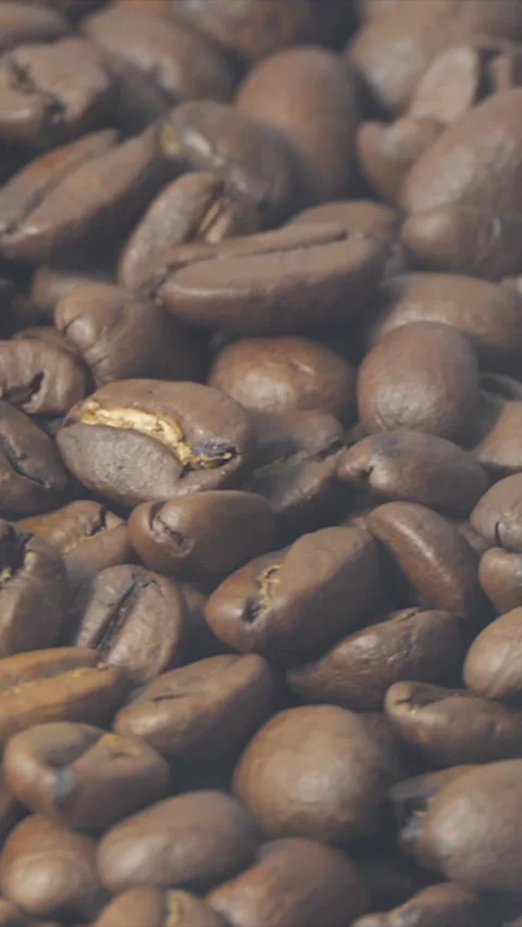 Vertical Screen: Close-Up Shot of Roasted Coffee Beans. Close-up view of coffee Stock Footage 231608972