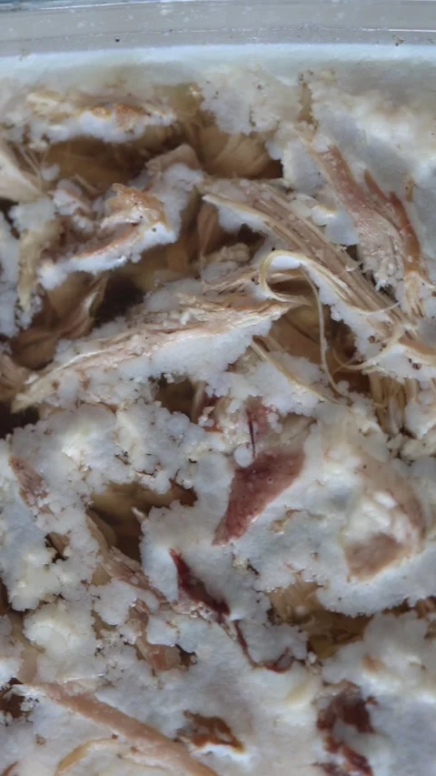 Vertical screen: A close-up of shredded cooked meat preserved in gelatinous brot Stock Footage 304623007